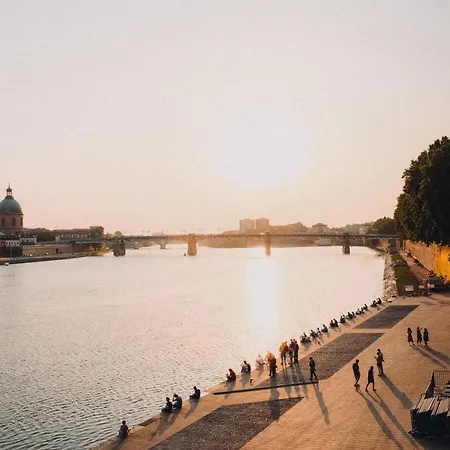 Apartment Superb Cozy In The Heart Of Toulouse